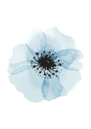 Juliste Sinisiä vesiväri kukkia Juliste 1