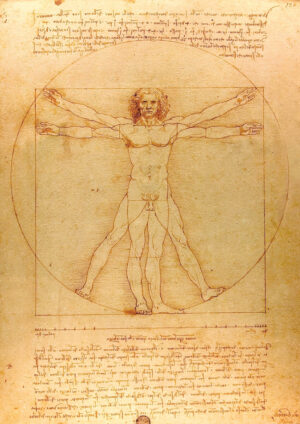 Juliste Vitruvian Man - Leonardo da Vinci Juliste 1